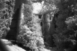 Ruined Beauty - Limited Edition Photographic Art by Christopher Strong